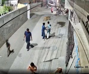 Lew rzucił się na dzieci i kobietę pośrodku ulicy! Oto, co stało się potem