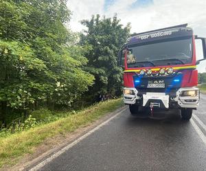 Śmiertelny wypadek pod Kołobrzegiem. Kierowca osobówki uderzył w drzewo