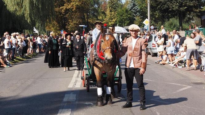 Gwarki 2023 w Tarnowskich Górach: ulicami miasta przeszedł tradycyjny pochód gwarkowski