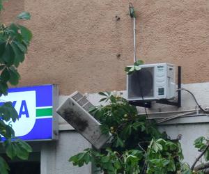 Powalone drzewo po burzy