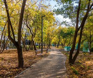 Park linearny na Służewcu w Warszawie pod koniec budowy