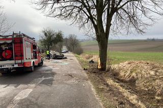 Wypadek pod Olsztynem. Auto wjechało w drzewo. Jedna osoba w szpitalu