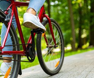 Jazda na rowerze chroni mózg. Prosta aktywność może chronić przed poważną chorobą