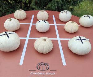 Jesienna atrakcja dla całej rodziny. Zabytkowa stacja w Rudach zaprasza na Pumpkin Express