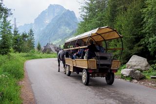 Niedowidzący koń woził turystów na Morskie Oko. Weterynarz starł się z aktywistami