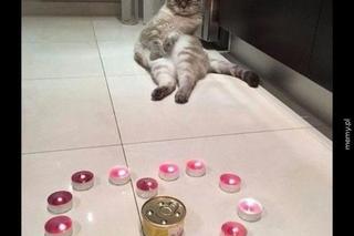 Memy na walentynki 14.02.2025. Święto zakochany oczami internautów [GALERIA]