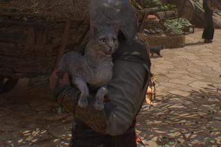 Mistrz Miausasynów. Koty w Assassin's Creed Mirage są wyjątkowe