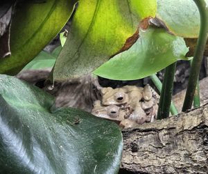 Egzotyczny świat na wyciągnięcie ręki! Zaglądamy do akwarium-terrarium w Myślęcinku