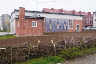 W samym centrum Olsztyna powstało… prawdziwe pole. O co chodzi?