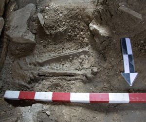 Tajemniczy szkielet z Koroną Śmierci odkryty w Bytomiu