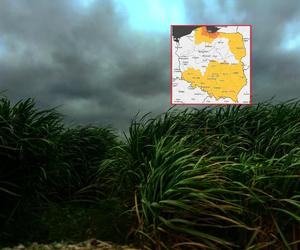 Marznący deszcz, wichury do 120 km/h, a potem wydarzy się to! Niepokojąca prognoza