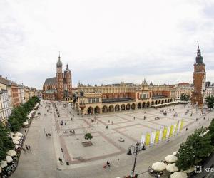 Posadzą więcej drzew na Rynku Głównym w Krakowie - zdjęcia. Kiedyś było ich niemal dwa razy więcej!