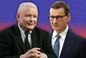 Nowy sondaż to cios w PiS. Mentzen triumfuje, Kaczyński i Morawiecki tracą poparcie