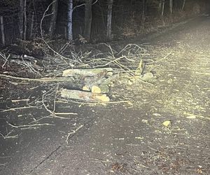 Wichura szaleje na Pomorzu. Strażacy mieli pracowitą noc. Podali straty