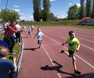 Zobacz uczestników maratonu charytatywnego zorganizowanego przez siedlecką Siedemnastkę