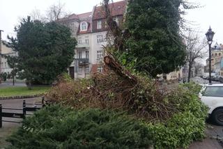 Trwa szacowanie szkód po wichurze nad Lesznem