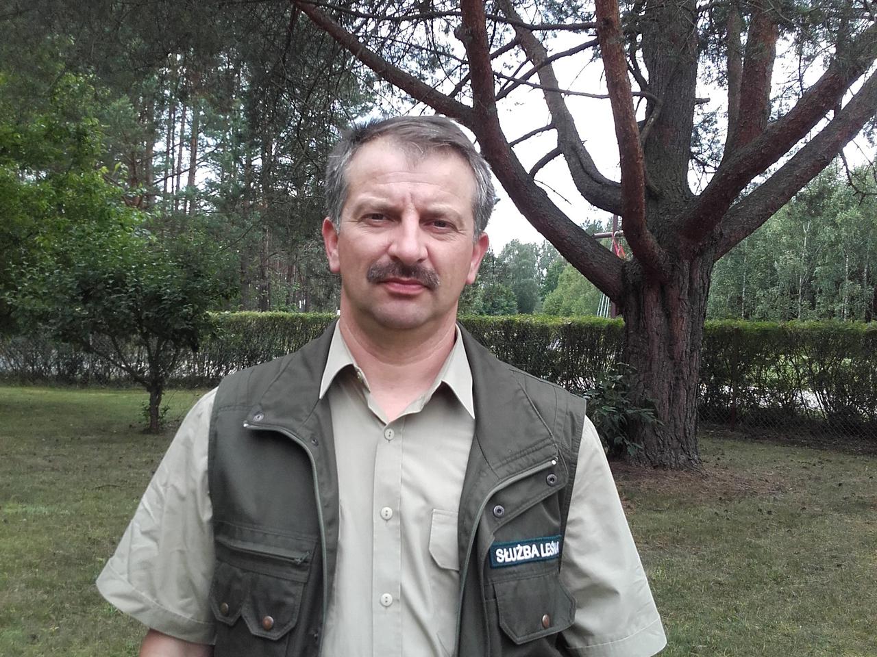 Wilki atakują z lasu!