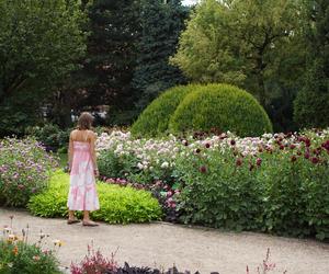 To jeden z najpiękniejszych ogrodów botanicznych w Polsce. Znajduje się na Dolnym Śląsku 