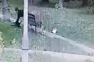 Horror w biały dzień! Dusił Wiktorię i okładał ją pięściami po twarzy. Tomasz chciał zabić 17-latkę