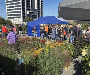 Jesienny Kiermasz Ogrodniczy w Bydgoszczy przyciągnął miłośników zieleni i smakołyków!