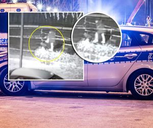 Bestialskie pobicie kobiety w Żyrardowie! Sprawca kopał leżącą. Apel o pomoc