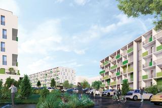 Zielone wzgórze: projekt osiedla budynków wielorodzinnych przy ulicy Sarni Stok w Bielsku-Białej