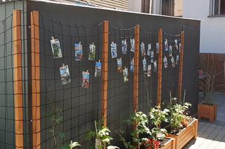 Przestrzeń dobra w stowarzyszeniu Sursum Corda 