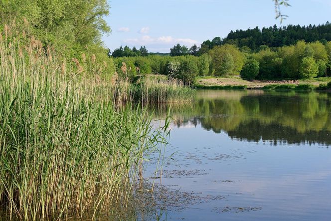 Bajm nakręcił kultowy teledysk w Małopolsce. Powstał nad zalewem nieopodal Krakowa