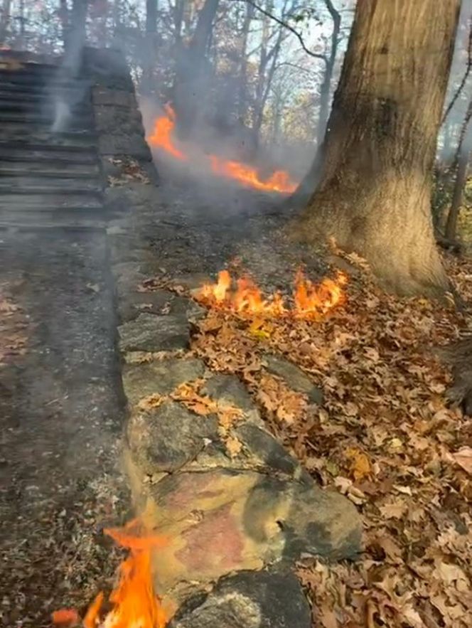 USA: Pożar trawi park na Manhattanie!