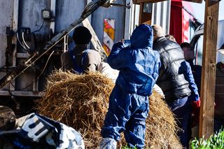 Horror koło Ostródy. Zwierzęta konały bez światła, wody i jedzenia