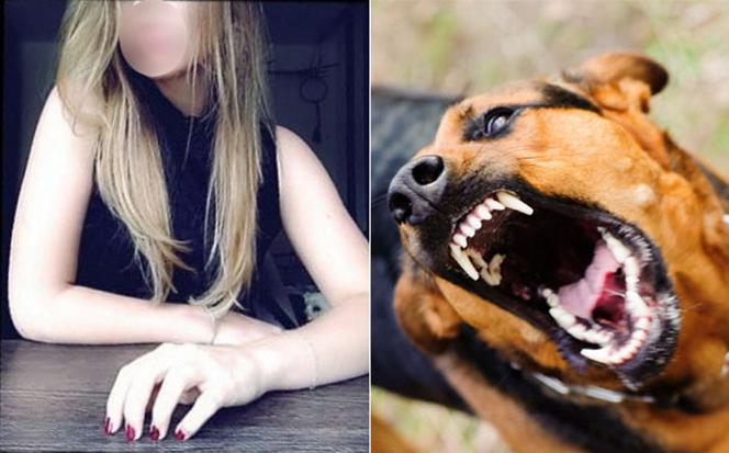 Sfora psów ciężko raniła 18-letnią Weronikę. Wcześniej doszło do innych ataków!