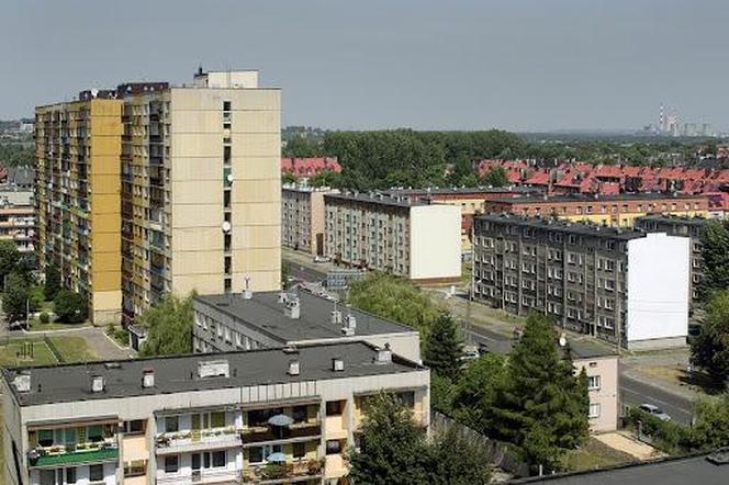 1. Czeladź - 0 hektarów lasów