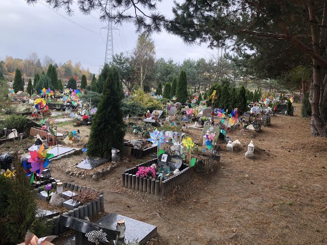 Cmentarze dla zwierząt w Koniku Nowym. "Wszyscy, których znam mówią, że zwierzęta zasługują na dużo więcej miłości i dobroci, ponieważ są lepsi od ludzi widać to teraz"