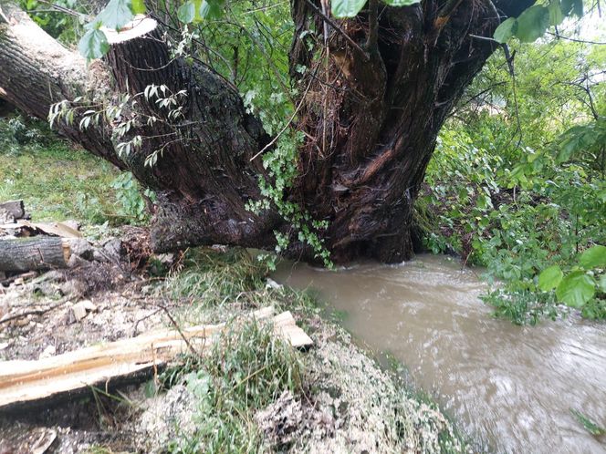 Zalane ulice i posesje. Trudna noc w gminie Goleszów w powiecie cieszyńskim