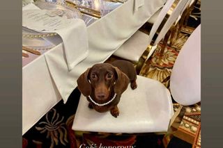 Cichopek i Kurzajewski