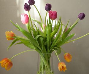 Życzenia imieninowe dla Michała. Oryginalne pomysły na życzenia, które miło go zaskoczą