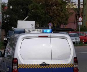 Parkujemy jak chcemy. 5000 mandatów wystawiła radomska straż miejska za złe parkowanie w Radomiu od początku roku 