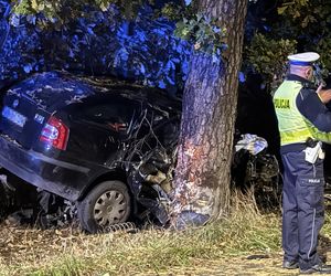 Rozbili się na drzewie. 5 młodych osób walczy o życie [AKTUALIZACJA]