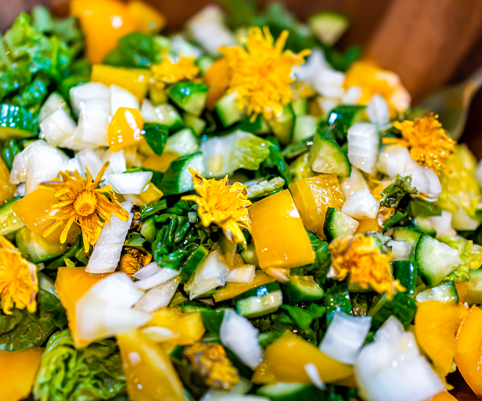 Mniszek lekarski wspiera pracę wątroby i ułatwia trawienie.