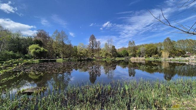 Arboretum w Bolestraszycach 