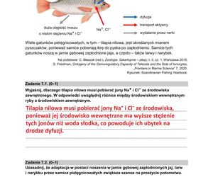 Matura 2025 biologia rozszerzona: ODPOWIEDZI do wszystkich zadań, gotowe rozwiązania matury z biologii rozszerzonej - Formuła 2015 [9.05.2025]	