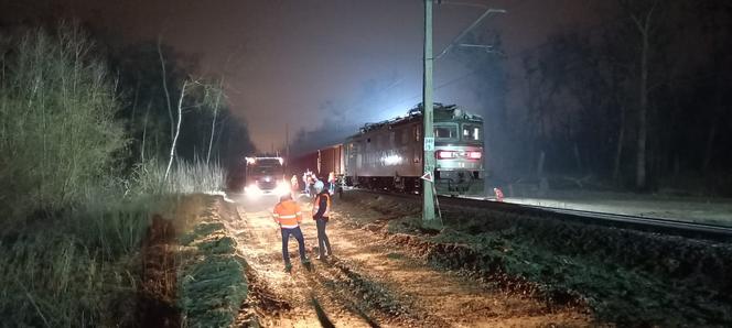 Lokomotywa zderzyła się ze składem towarowym