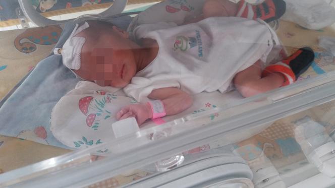 Gabryś w oknie życia