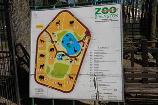 Wiosna w Zoo Akcent w Białymstoku