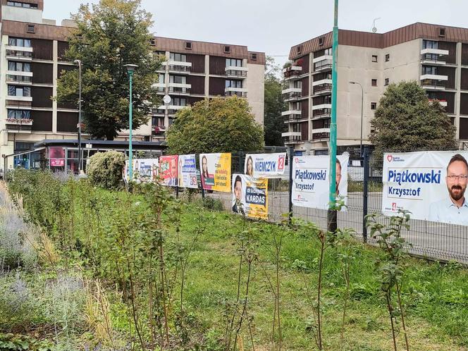 Łódź tonie w plakatach wyborczych. Kto jest odpowiedzialny za ich późniejsze usunięcie?