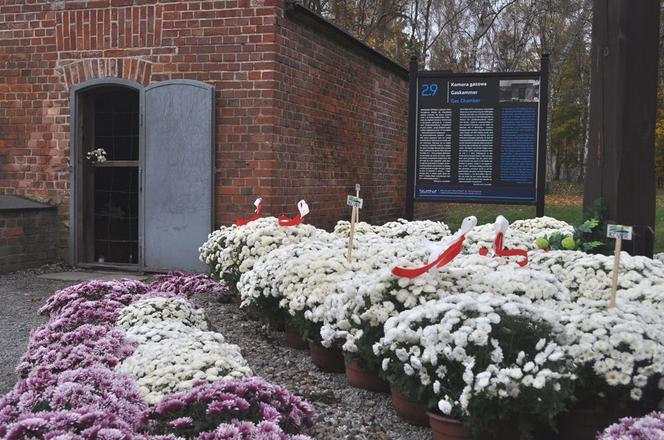 Pomorskie: Piękne kwiaty dla bohaterów [ZDJĘCIA]