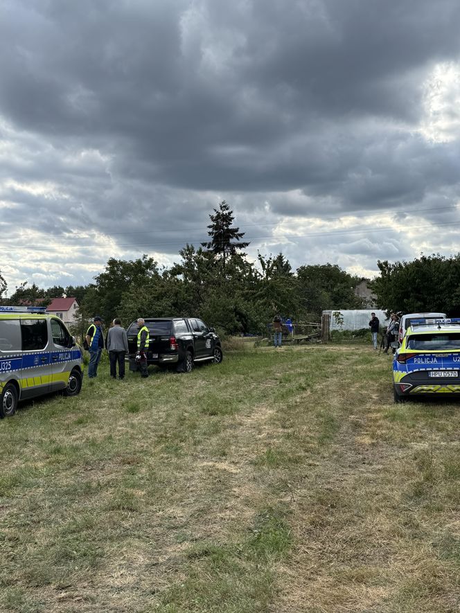 Wypadek awionetki w Krzycku Wielkim