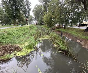 Odolanów czeka na wielką wodę