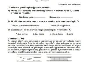 Matura 2013 biologia p. podstawowy