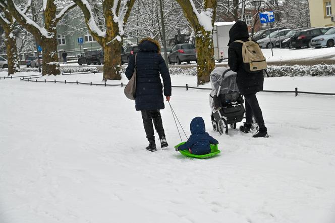 Śnieżny Szczecin 